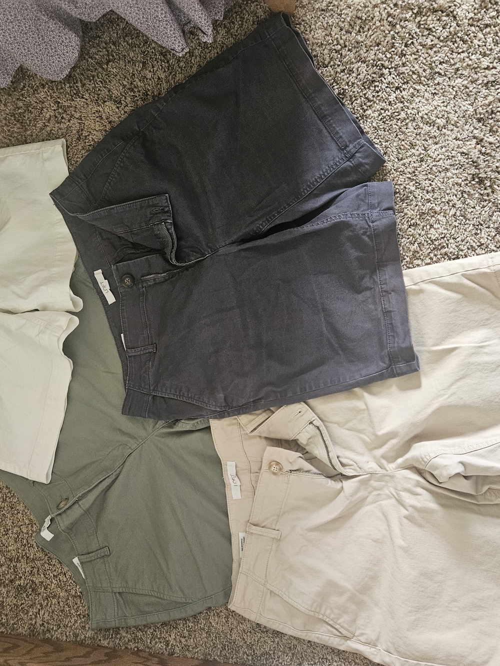 LOFT Dark Gray and Neutral Chino Shorts Bundle